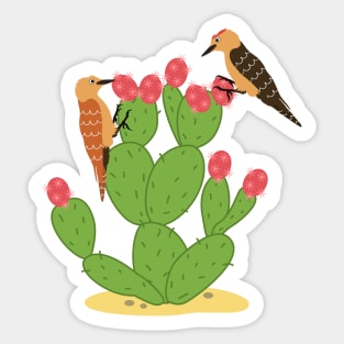 Desert Bird Gila Woodpecker Sticker